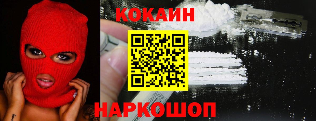 дарнет шоп  COCAIN Fish Scale  Вход с VPN  Новоалександровск  Cocaine VHQ 