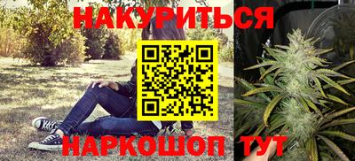 амф Гусев